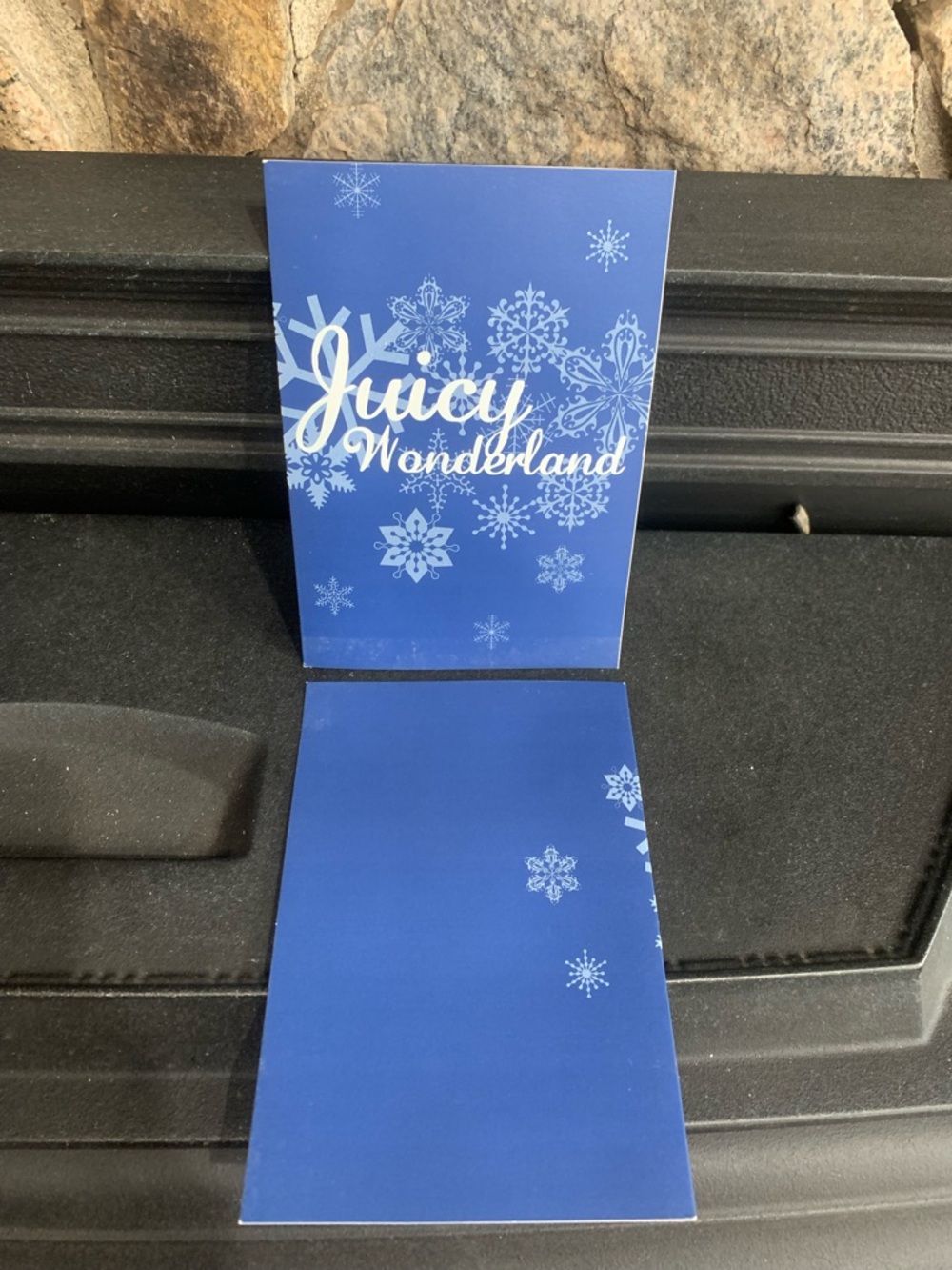 Juicy Couture Pam Gela Juicy Wonderland Blue Greeting Christmas Cards Lot of 2